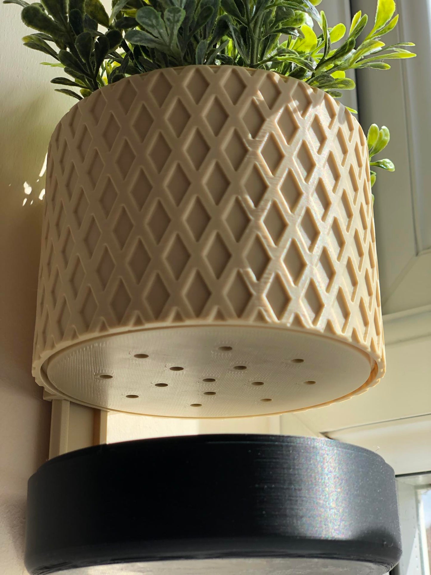 Cleo Planter