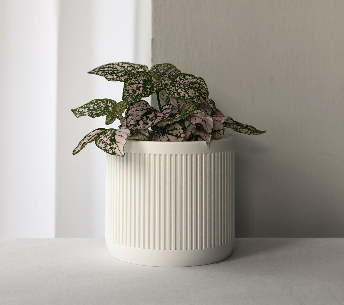 Luna Planter