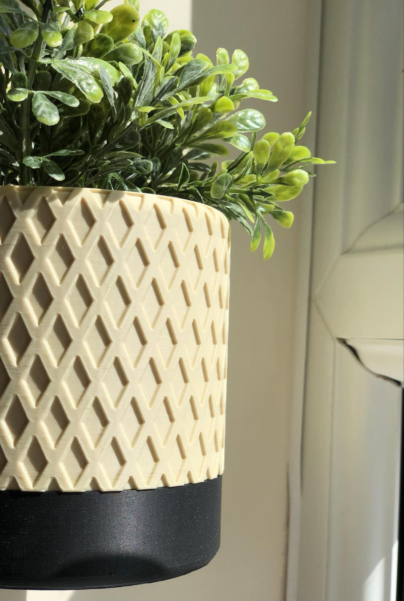 Cleo Planter